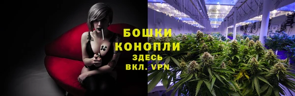 гидра Арсеньев