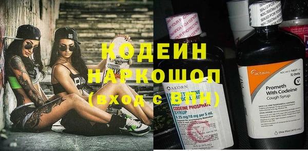 гидра Арсеньев