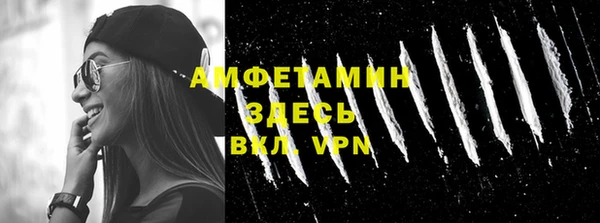 гидра Арсеньев
