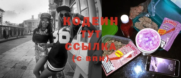 гидра Арсеньев