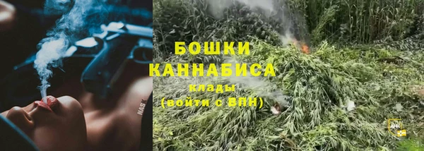гидра Арсеньев