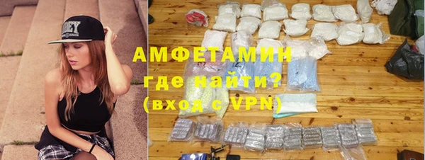 гидра Арсеньев