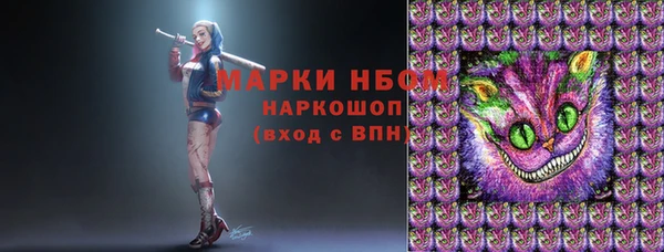 гидра Арсеньев