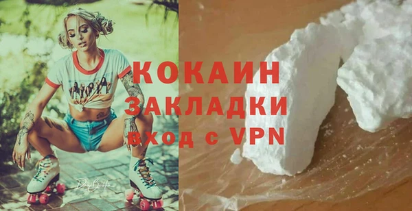 гидра Арсеньев