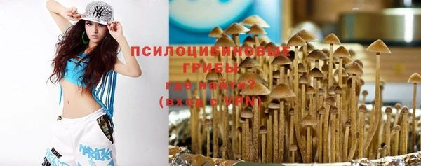 jwh Аркадак
