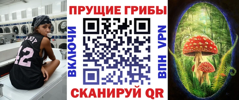 Галлюциногенные грибы GOLDEN TEACHER Комсомольск